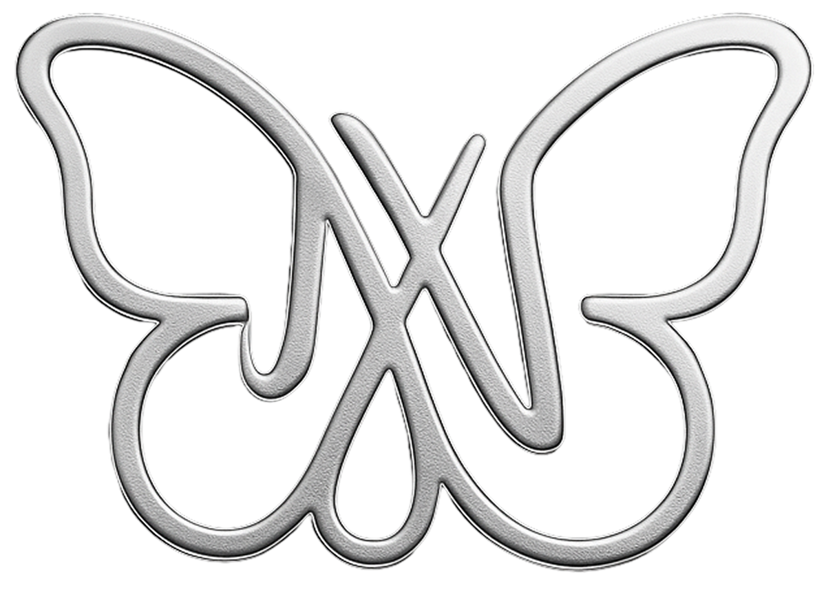Why Envy White Logo